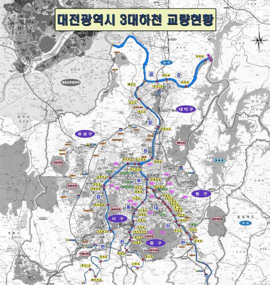 사진=대전시 제공