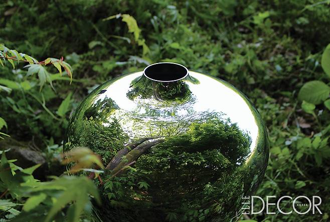 ‘Doza(Maebyung)’