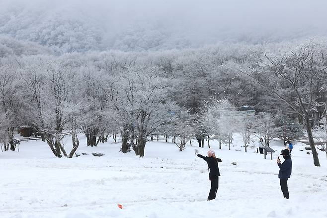 18일 오전 제주 한라산 어리목탐방안내소를 찾은 이들이 폭설이 만들어낸 절경을 감상하고 있다. 2023.12.18 [사진 = 연합뉴스]