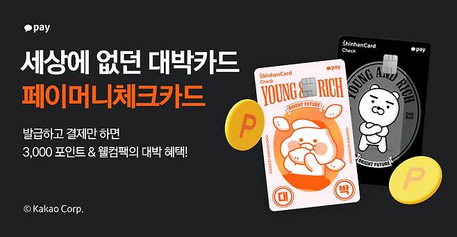 [카카오페이 제공]