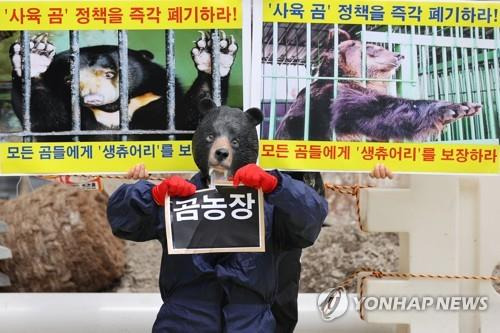 작년 7월 18일 곰탈을 쓴 한국동물보호연합 회원이 서울 종로구 광화문광장 인근에서 사육곰 정책 즉각 폐기 및 야생동물보호시설(생츄어리) 보장을 주장하며 '곰농장' 종이를 찢는 퍼포먼스를 하고 있다