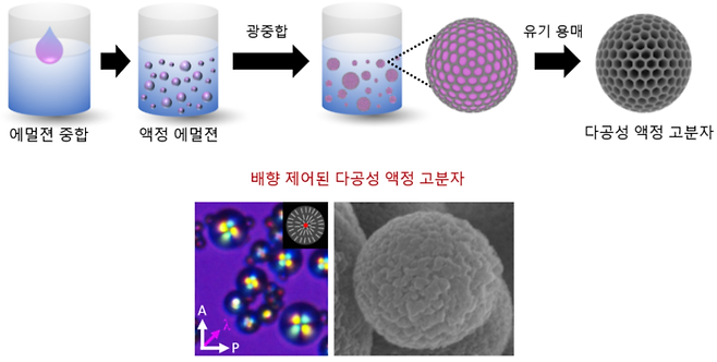 다공성 액정 고분자제작 과정 및 액정 분자 배향에 따라 형성된 다공성 구조체