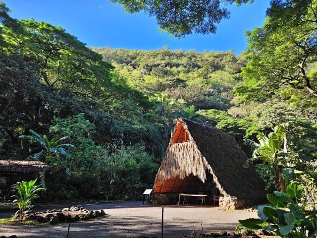 와이메아 계곡은 신성한 역사유적지이기도 하다. 고대 하와이인들이 거주했던 전통가옥 할레의 모습.