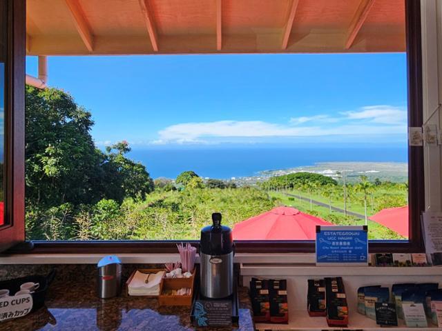 맑은 날 커피향과 함께 실내에서 바라본 하와이섬의 하늘과 커피밭이 푸르다.
