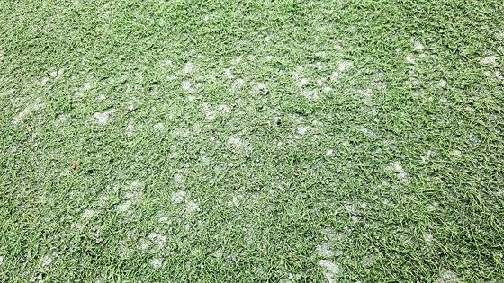 10년 전인 2013년 설치된 인조잔디 운동장. 해당 학교는 올해 초 인조잔디 교체 예산이 배정됐으나 1년째 집행이 미뤄지고 있다. 사진 독자