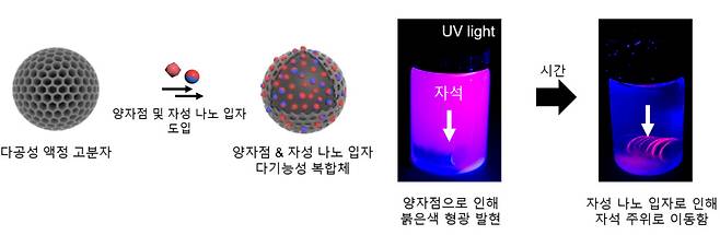 양자점 및 자성 나노 입자 도입을 통해 다기능성 복합체 제작.[KAIST 제공]