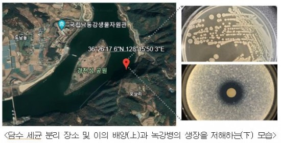 [국립낙동강생물자원관 제공]