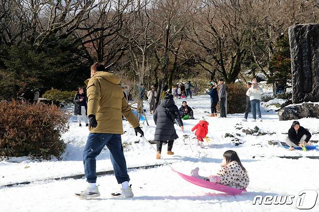 19일 오후 제주 서귀포시 1100고지습지 일대에서 제주도민과 관광객들이 눈썰매를 즐기고 있다.2023.11.19./뉴스1 ⓒ News1 오미란 기자