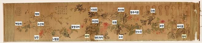 최근 공개된 ‘꽃 두루마리’ 그림. 괴석과 함께 16종류의 사철 꽃이 표현되어 있다. 꽃박람회 같은 느낌이다. |기계 유씨 후손 소장·예술의전당 서예박물관 제공