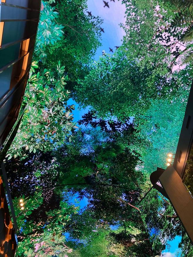 LED 스크린 위에 초현실적인 비주얼을 구현한 디지털 거리 '오로라' 전경. 파란 하늘에 새하얀 구름이 한가로이 유영하다 어느 순간 형형색색의 물고기가 가득한 심해로 변한다. 사진=장인서 기자