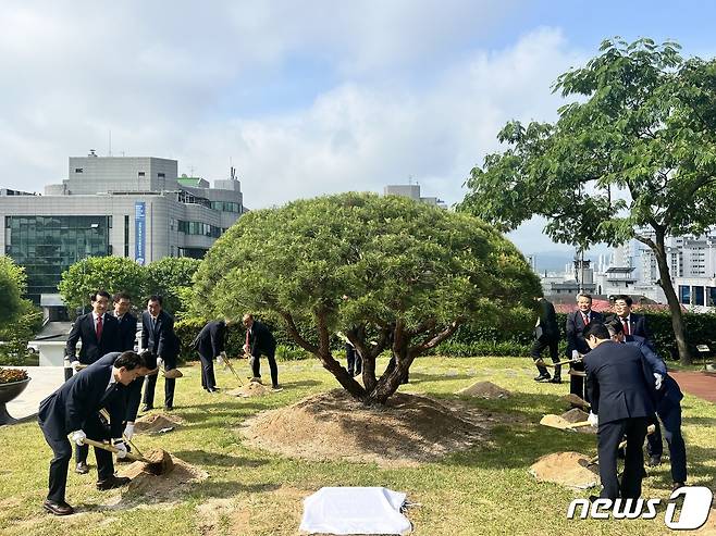 12일 강원 춘천시 강원특별자치도청에서 열린 강원특별자치도청 출범 기념 식수 행사에서 김진태 도지사, 권혁열 도의장 등이 시삽을 하고 있다. 2023.6.12/뉴스1 ⓒ News1 한귀섭 기자