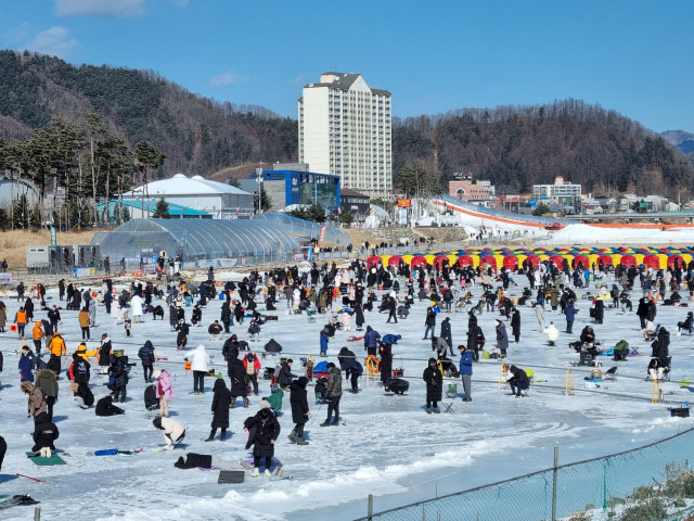 ▲ 지난 2023 평창송어축제에서 많은 낚시객이 낚시터를 찾아 송어 얼음낚시를 즐기고 있다. [강원도민일보 자료사진]