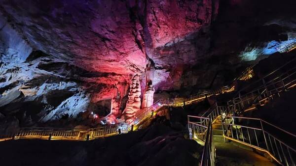 온라인 커뮤니티