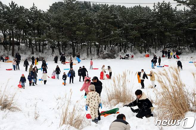 성탄절인 25일 오후 제주시 해안동 산록서로에 있는 한 눈 쌓인 언덕에서 겨울 나들이객들이 썰매를 타고 있다.2023.12.25./뉴스1 ⓒ News1 오미란 기자