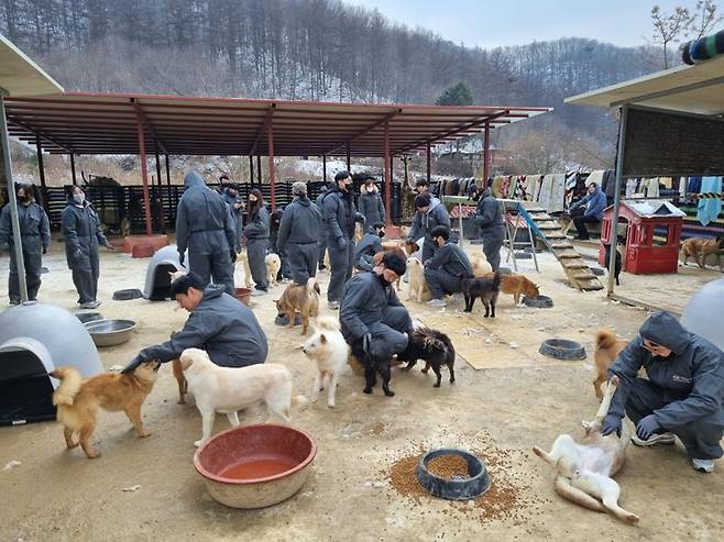 이마트 몰리스와 하림펫푸드 임직원들이 동물보호소를 찾아 봉사활동을 하고 있다.