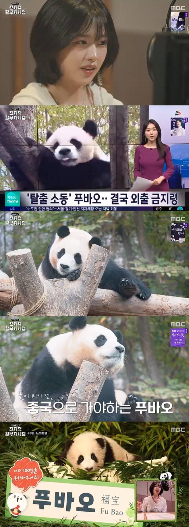 티브이데일리 포토