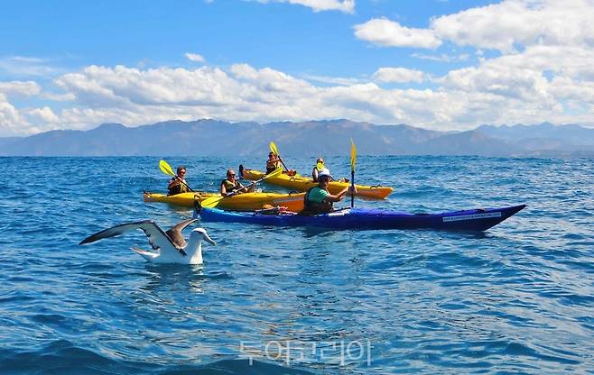  카약 즐기기 ⓒ뉴질랜드관광청