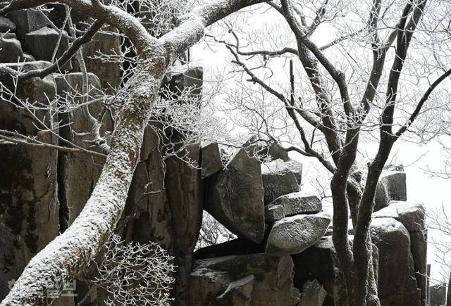 서석대에서 내려오는 등산로 주변에도 다양한 모양의 주상절리가 흩어져 있다.