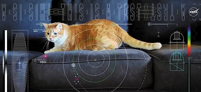 미 항공우주국(NASA)이 3100만㎞ 떨어진 우주에서 심우주 광통신(DSOC) 기술을 이용해 지구로 전송한 고양이 ‘테이터스’ 영상. 15초 분량 UHD급 영상을 지구에서 받는 데 101초밖에 걸리지 않았다. /미 항공우주국(NASA)
