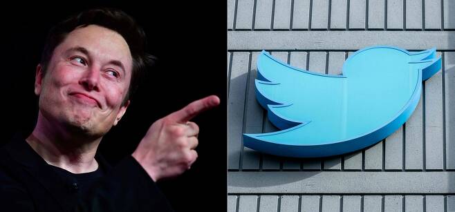 일론 머스크 테슬라 CEO와 트위터 로고였던 '파랑새'. / AFP 연합뉴스