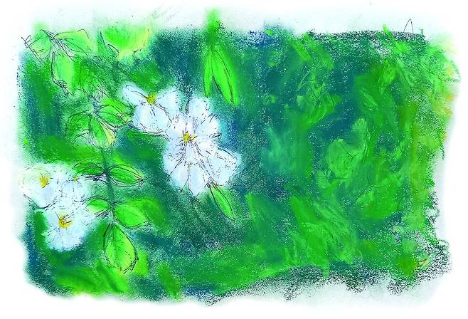 일러스트레이션 차지우