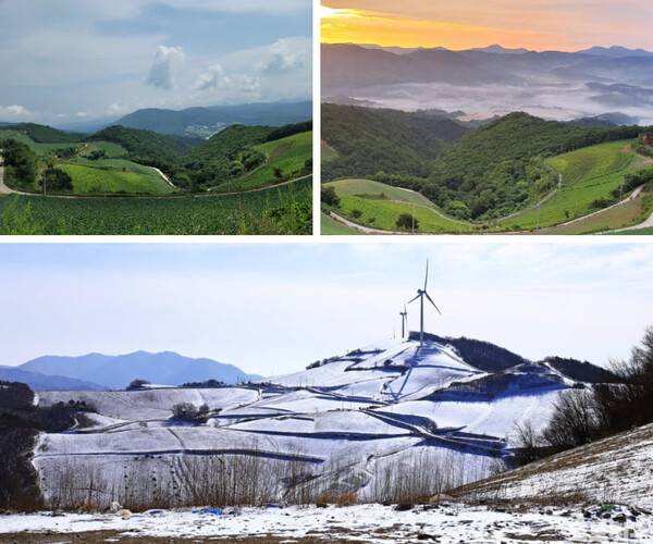 온라인 커뮤니티