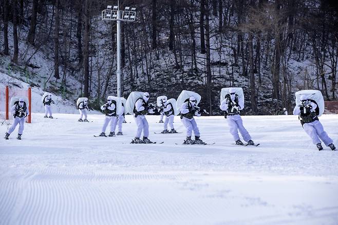 육군 특전사 장병이 황병산 훈련장 일대에서 스키를 활용한 전술 기동을 실시하고 있다. 육군 제공