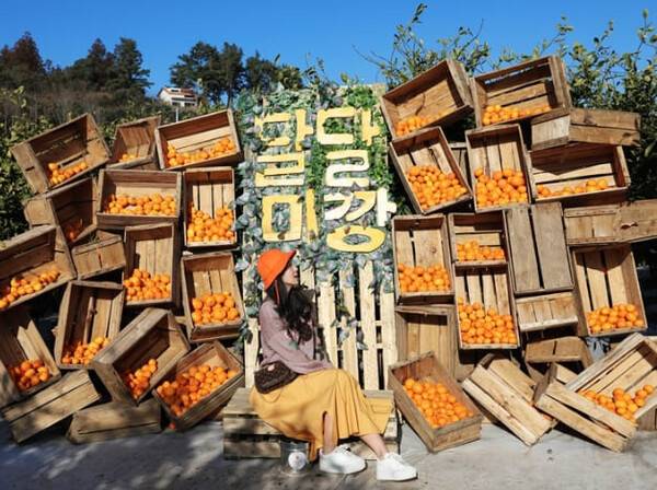 온라인 커뮤니티