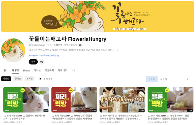 채널 '꽃돌이는 배고파'는 반려 토끼 '꽃돌이'의 소소한 식사 기록을 초고화질 영상과 생생한 입체음향 콘텐츠로 제작해 인기를 얻고 있다. /꽃돌이는 배고파 채널 캡처