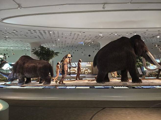 연천 전곡선사박물관ⓒ