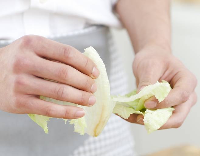 양배추에는 비타민U가 들어있어 위 점막을 보호하는 데 도움이 된다. / 사진= 클립아트코리아