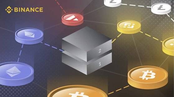 다양한 레이어1 메인넷들. 사진 바이낸스.