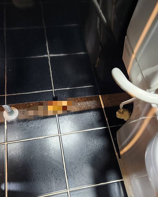 ▲ 해당 화장실 사진 : 네이버카페 '아프니까 사장이다'