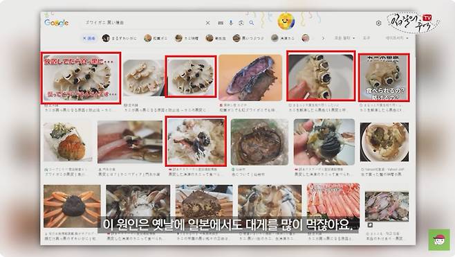 일본에서도 과거 까맣게 변한 대게의 품질 논란이 빚어졌다고 한다. ['입질의 추억' 유튜브채널 갈무리]