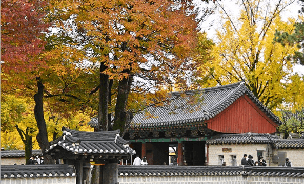 온라인 커뮤니티