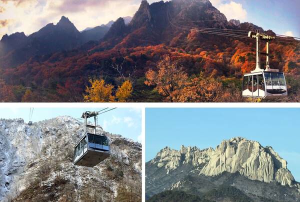 강원 속초 가볼 만한 곳 추천 / 온라인 커뮤니티