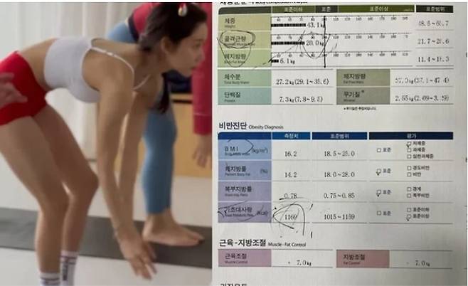 한그루가 올린 체성분 분석표에는 체중 43.1kg에 골격근량 20.0kg, 체지방량 6.1kg, 체지방률 14.2% 등이 기록돼있다. [사진=한그루 인스타그램 캡처]