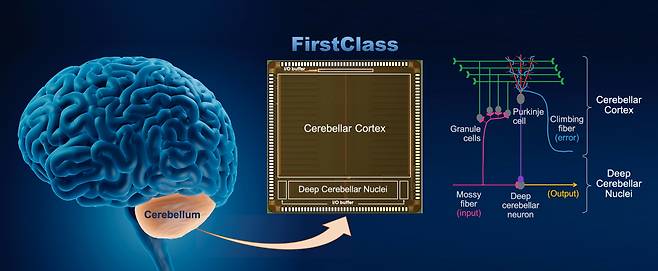 자율주행 승차감 개선용 뉴로모픽 칩 ‘퍼스트클래스(FirstClass)’.[KIST 제공]