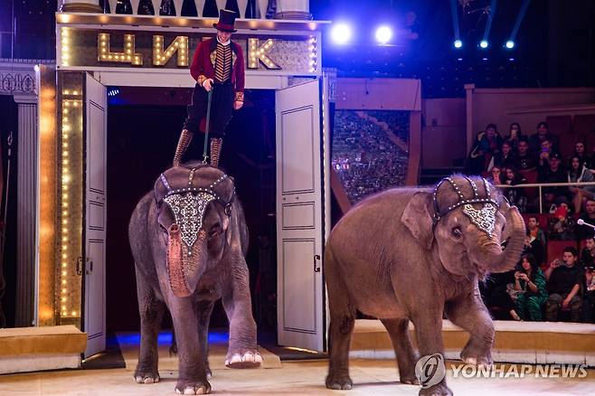 러시아 서커스 공연 [타스 연합뉴스 자료사진. 재판매 및 DB 금지]