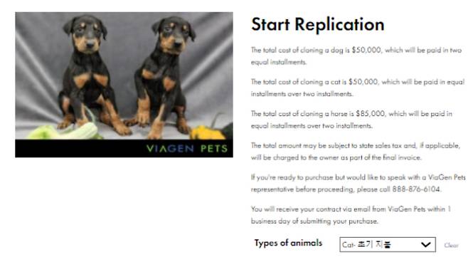복제 전문 업체 '비아젠펫츠(VIAGEN PETS)'에서 개·고양이·말의 복제 의뢰를 받고 있다. 개·고양이 복제 비용은 5만 달러(약 6천만 원)다. 비아젠펫츠 홈페이지 캡처