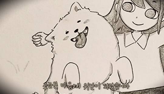 사진=사모예드 티코 유튜브 캡처