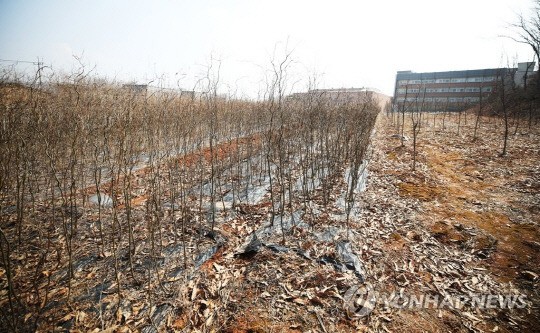 3기 신도시 광명시흥지구 <연합뉴스 제공>