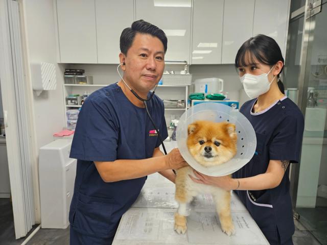박우대 펫인쥬동물메디컬센터 원장이 4일 목 부위를 다쳐 병원을 찾은 강아지를 진료하고 있다.
