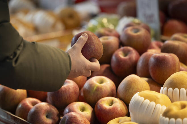 신선과실 가격 강세가 이어지고 있는 지난 3일 오후 서울의 한 시장 과일가게에서 소비자가 과일을 고르고 있다. [사진 출처 = 연합뉴스]