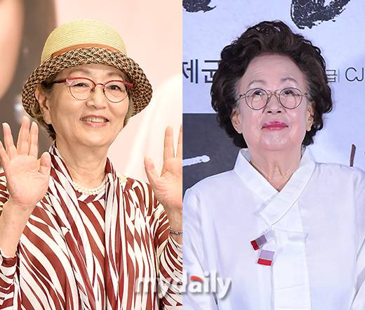 배우 김영옥, 나문희 / 마이데일리