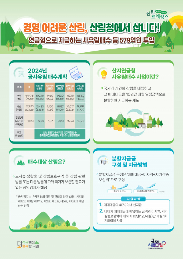 산림청은 올해 579억 원을 투입해 여의도 면적의 15배에 달하는 사유림 4447ha를 매수한다. 사진제공=산림청