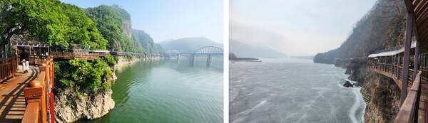 온라인 커뮤니티