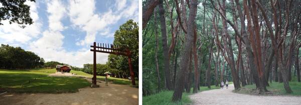 화성 가볼만한 곳 / 온라인 커뮤니티