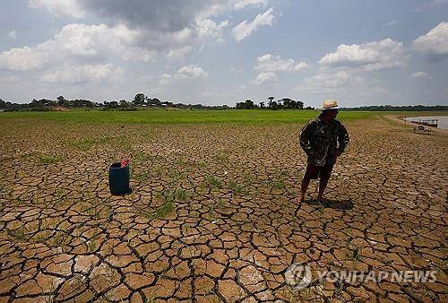 말라붙은 브라질 아마존 [AP 연합뉴스 자료사진. 재판매 및 DB 금지]