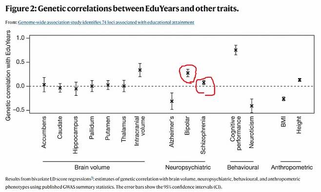 유럽 연구 결과. 조울증과 조현병 유전자는 교육 성취에서 양의 상관관계를 보인 반면, 신경과민증과 비만은 음의 상관관계를 보였다.  /논문 캡처